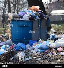 Best Yard Waste Removal  in Anthony, TX