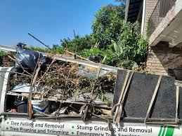Best Office Cleanout  in Anthony, TX