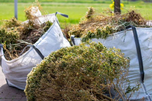 Best Commercial Junk Removal  in Anthony, TX